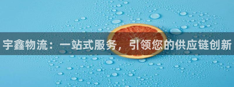 南宫28圈官网版：宇鑫物流：一站式服务，引领您的供应链创新