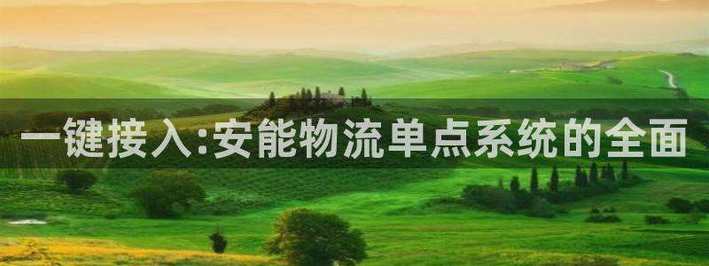 28圈链接来一个：一键接入:安能物流