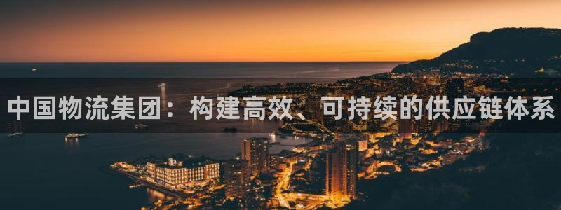 28圈圈：中国物流集团：构建高效、可