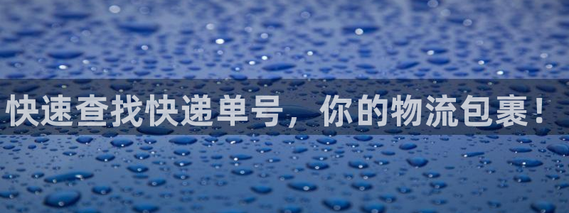 28圈模拟器下载：快速查找快递单号，你的物流包裹！