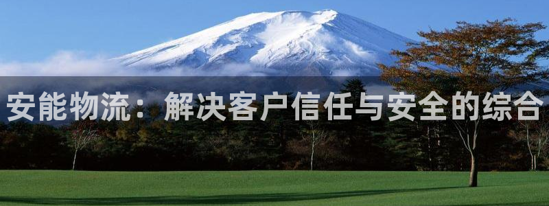 28圈是什么软件：安能物流：解决客户