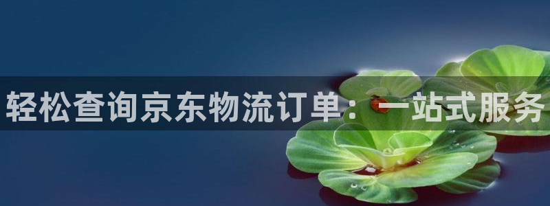 28圈加拿大下载