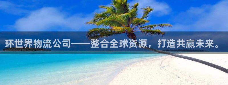 28圈违法吗：环世界物流公司——整合