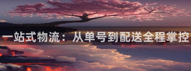 28圈官网多少：一站式物流：从单号到