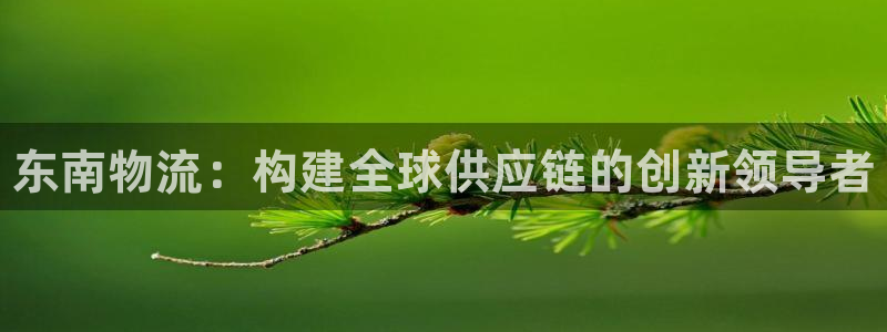 28圈黑平台吗：东南物流：构建全球供应链的创新领导者