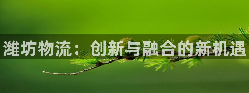 28圈官方网站是多少：潍坊物流：创新