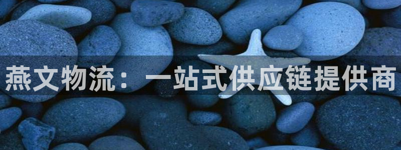 28圈注册网站加拿大：燕文物流：一站式供应链提供商