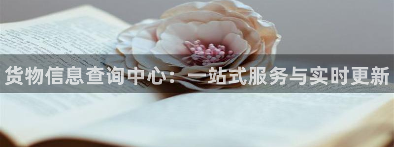 28圈官网版下载：货物信息查询中心：