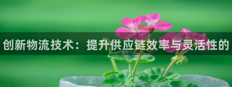 28圈提现未达5期是什么意思:创新物