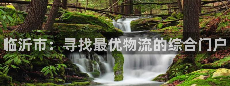 28圈代理落网：临沂市：寻找最优物流