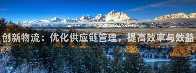 28圈官方官网:创新物流:优化供应链