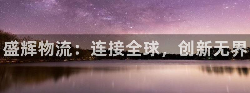 28圈大舞台：盛辉物流：连接全球，创