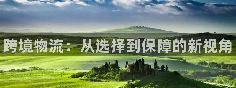28圈下载二维码：跨境物流：从选择到