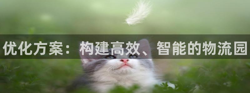 28圈.ccmpc29官网版：优化方