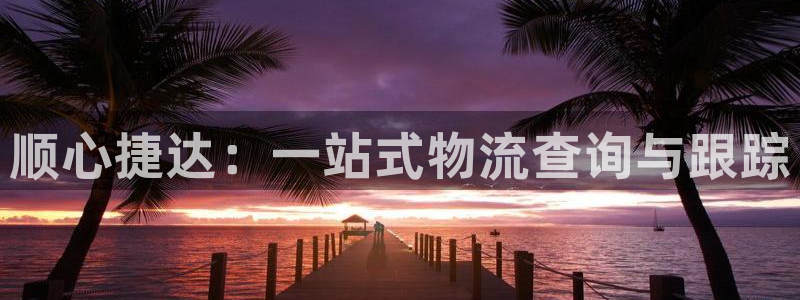 28圈绿骨头:顺心捷达:一站式物流查