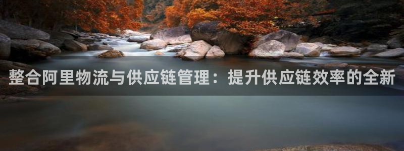 28圈麻将胡了在线试玩：整合阿里物流