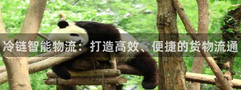28圈下载链接是多少：冷链智能物流：打造高效、便捷的货物流通